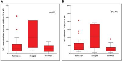 Day +60 WT1 assessment on CD34 selected bone marrow better predicts relapse and mortality after allogeneic stem cell transplantation in acute myeloid leukemia patients